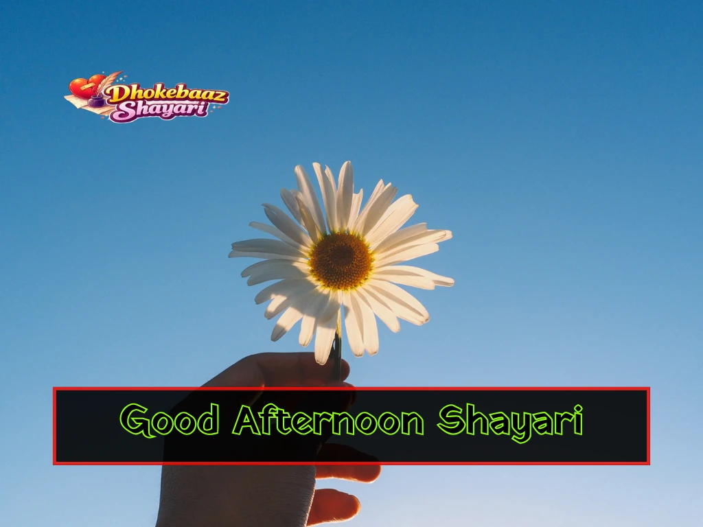Good Afternoon Shayari Hindi